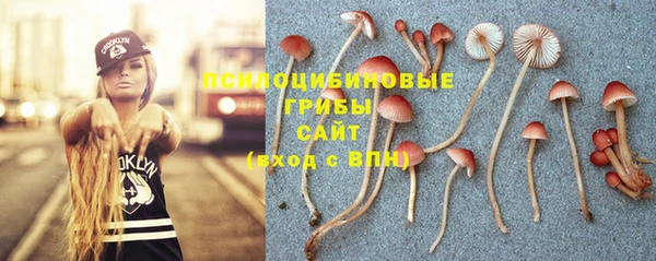 альфа пвп Осинники