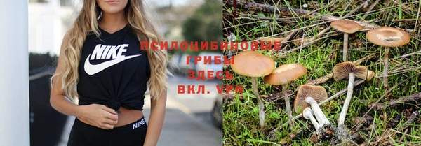 альфа пвп Осинники