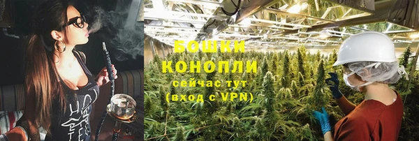 apvp Осташков