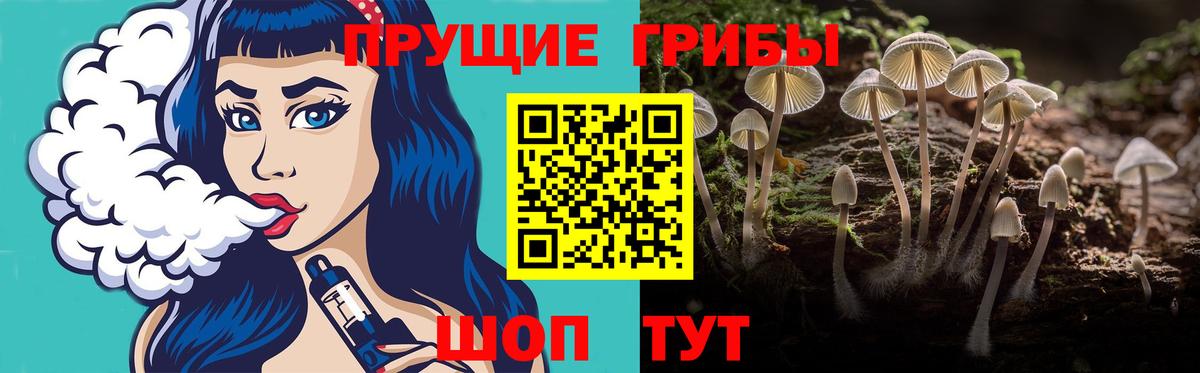 Псилоцибиновые грибы GOLDEN TEACHER  Вход с VPN  Ханты-Мансийск 